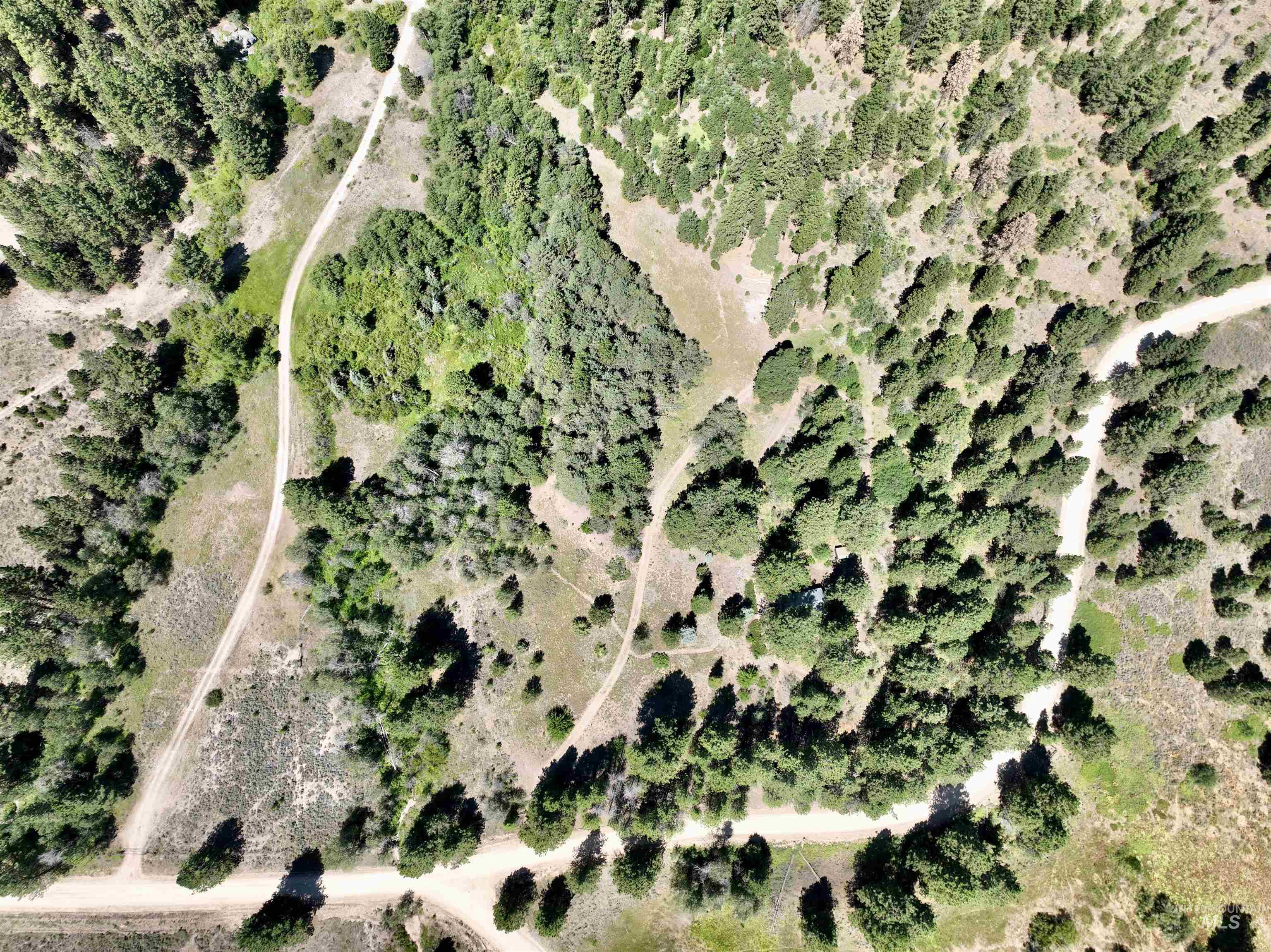 1100 Strawberry Loop Road Mountain Home, ID 83647 - Photo 20 of 20 Extensive wooded acreage featuring mature evergreen and deciduous trees, with multiple unpaved pathways traversing the landscape
