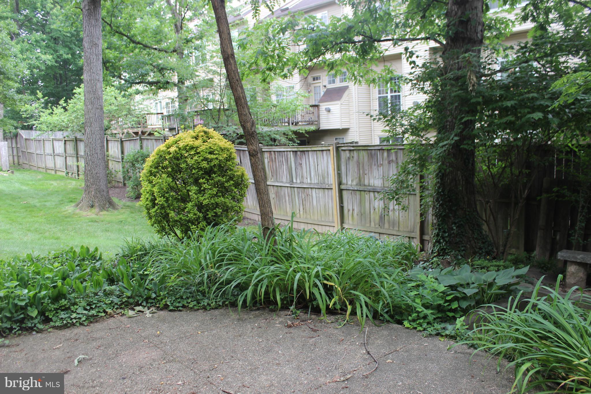 2128 Bucknell Terrace, Unit 31 Silver Spring, MD 20902 - Photo 17 of 21 Private Back Yard w/ Shady Patio Area