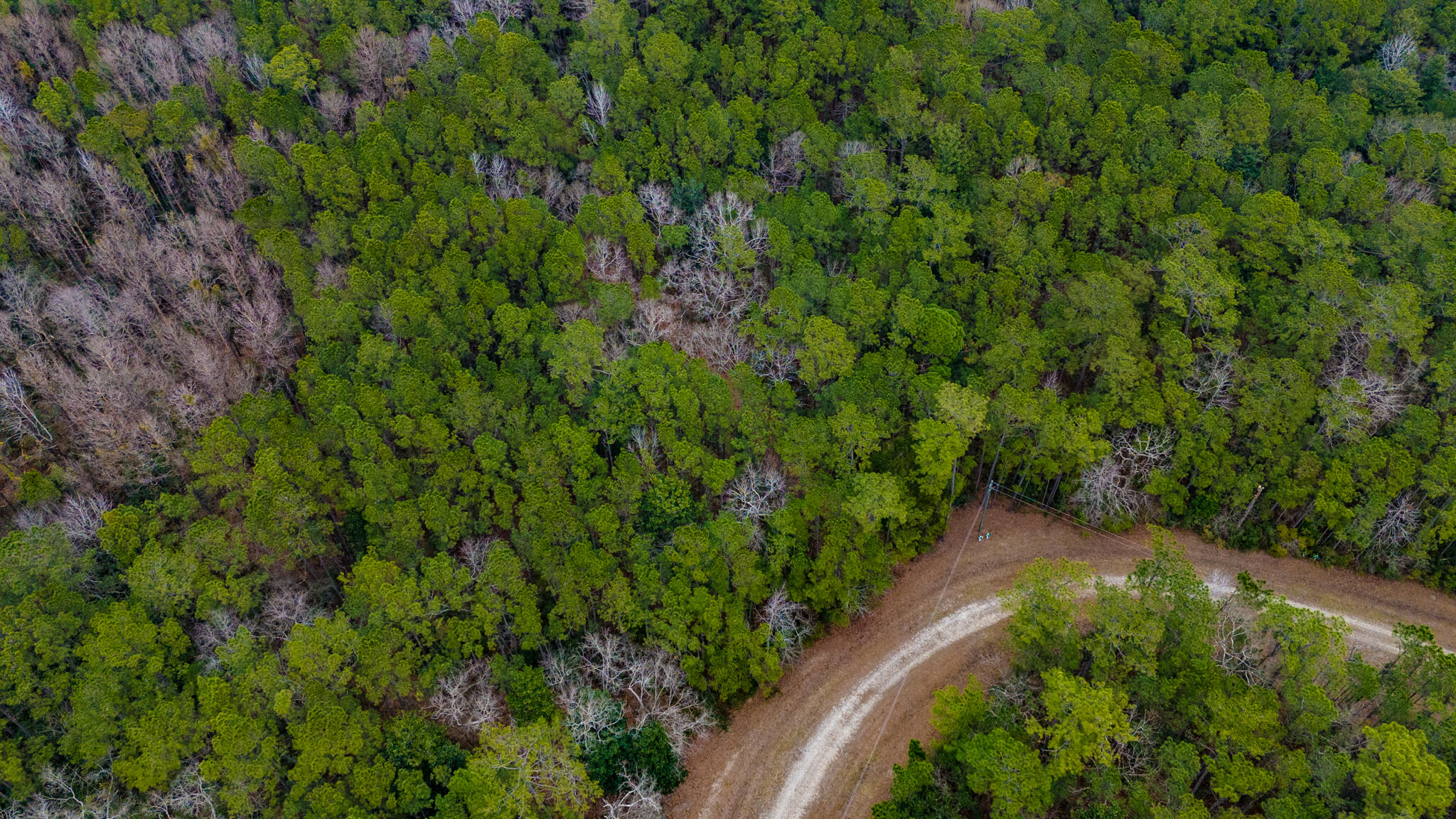 0 Morrison Canal Drive McClellanville, SC 29458 - Photo 12 of 18 Lot 18 and 19