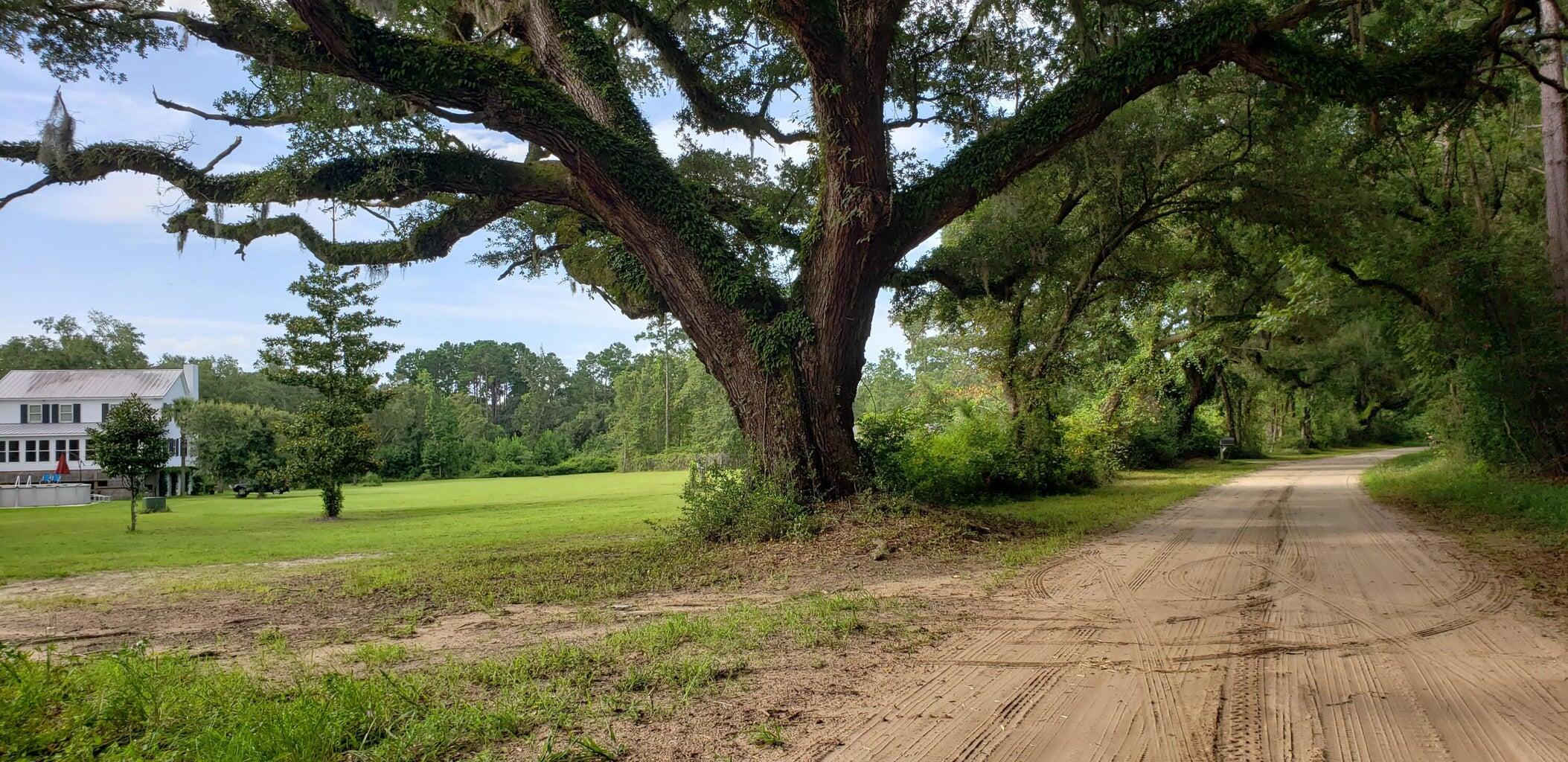 0 Morrison Canal Drive McClellanville, SC 29458 - Photo 14 of 18 Old Georgetown Rd