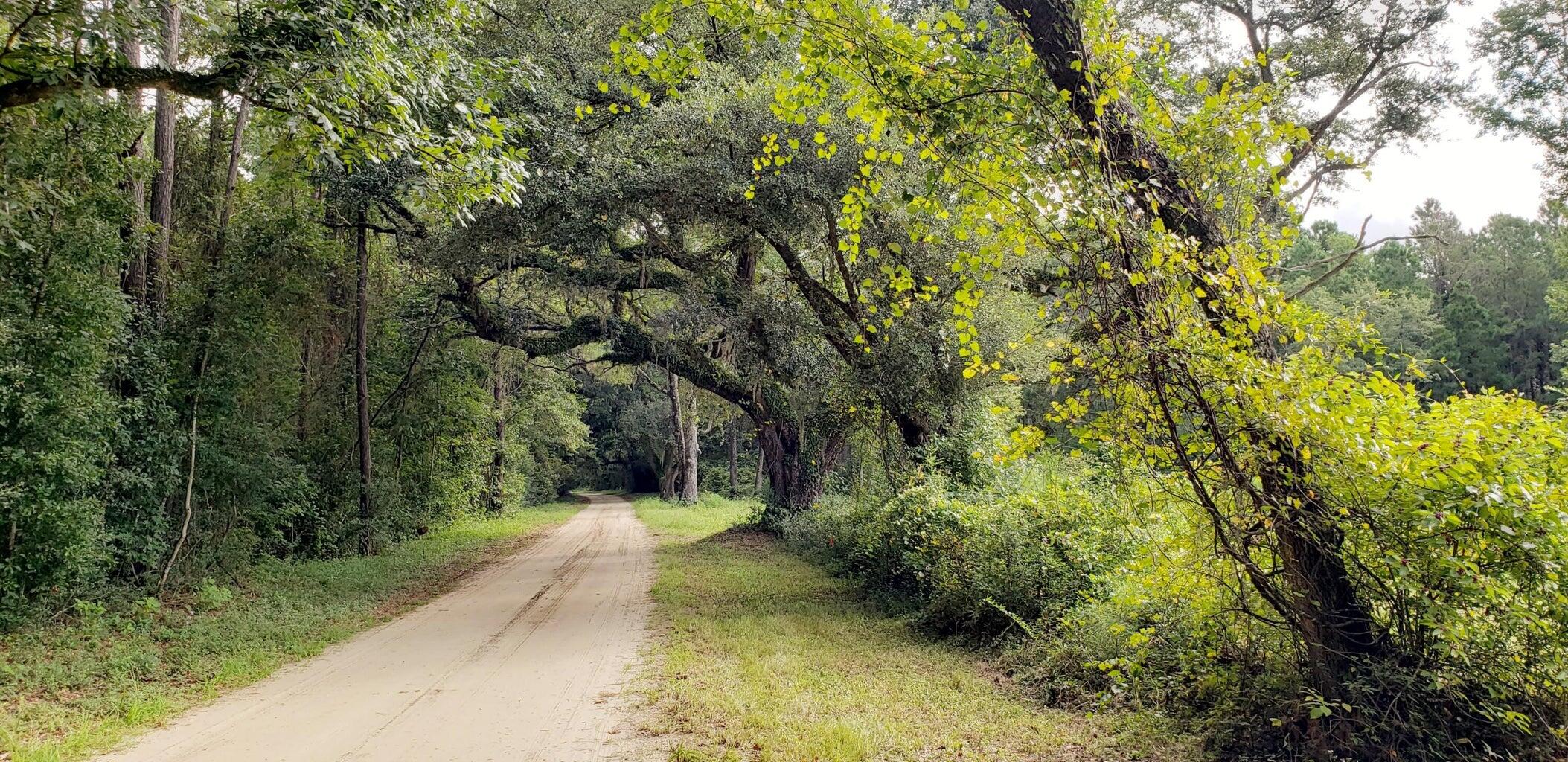 0 Morrison Canal Drive McClellanville, SC 29458 - Photo 15 of 18 Old Georgetown Rd