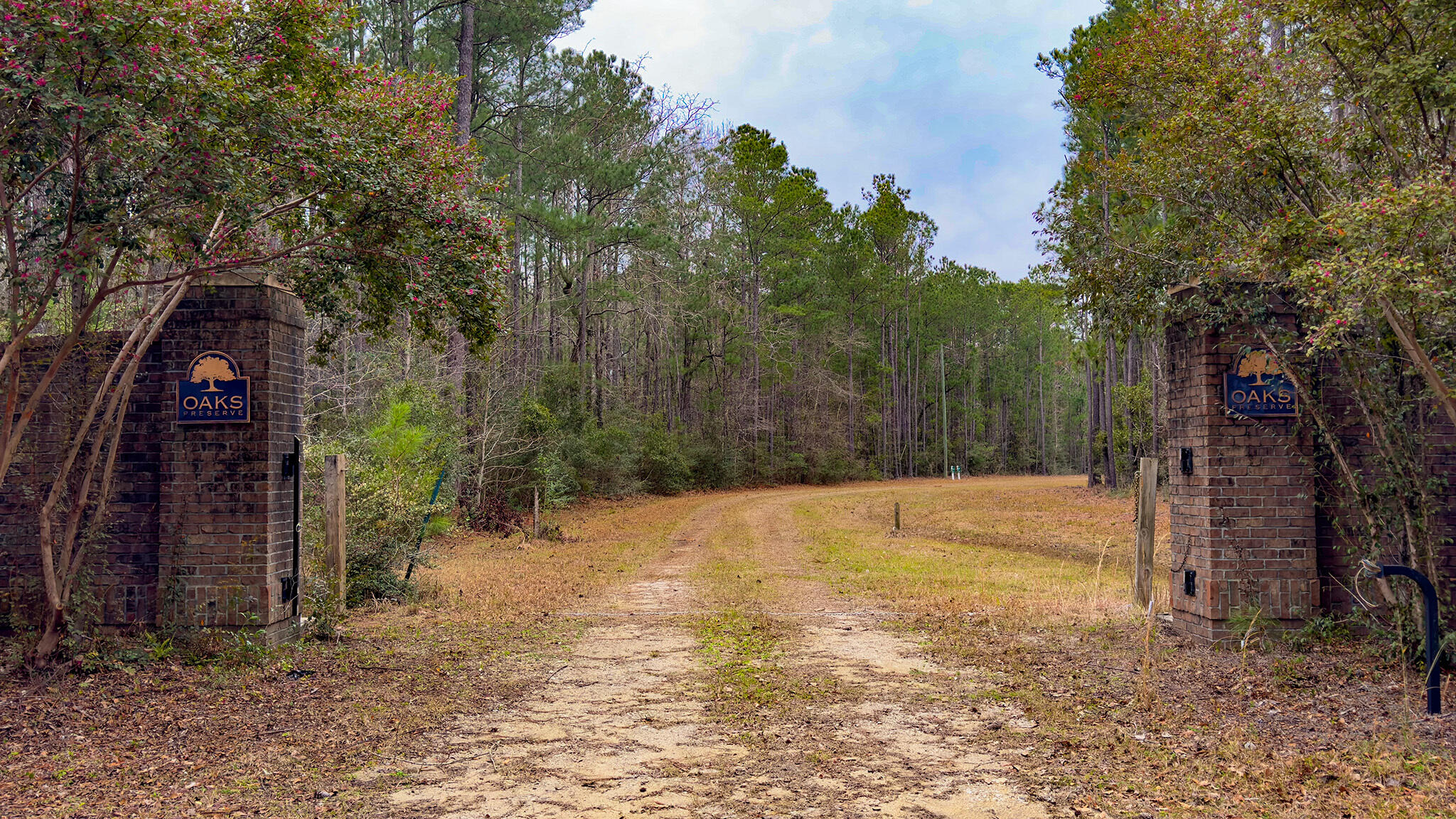 0 Morrison Canal Drive McClellanville, SC 29458 - Photo 3 of 18 Entrance
