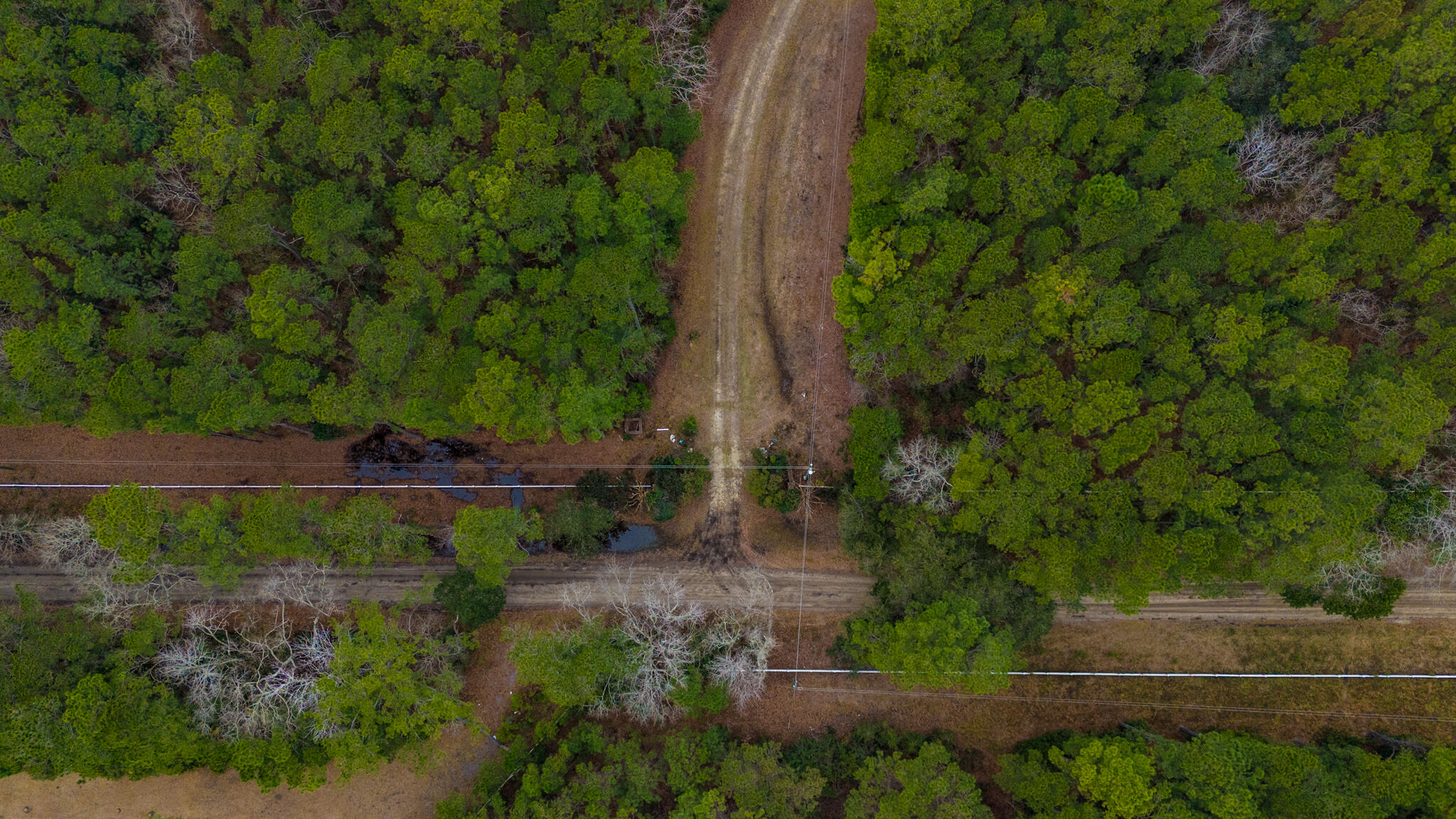0 Morrison Canal Drive McClellanville, SC 29458 - Photo 4 of 18 Private drive off of Old Georgetown Rd.