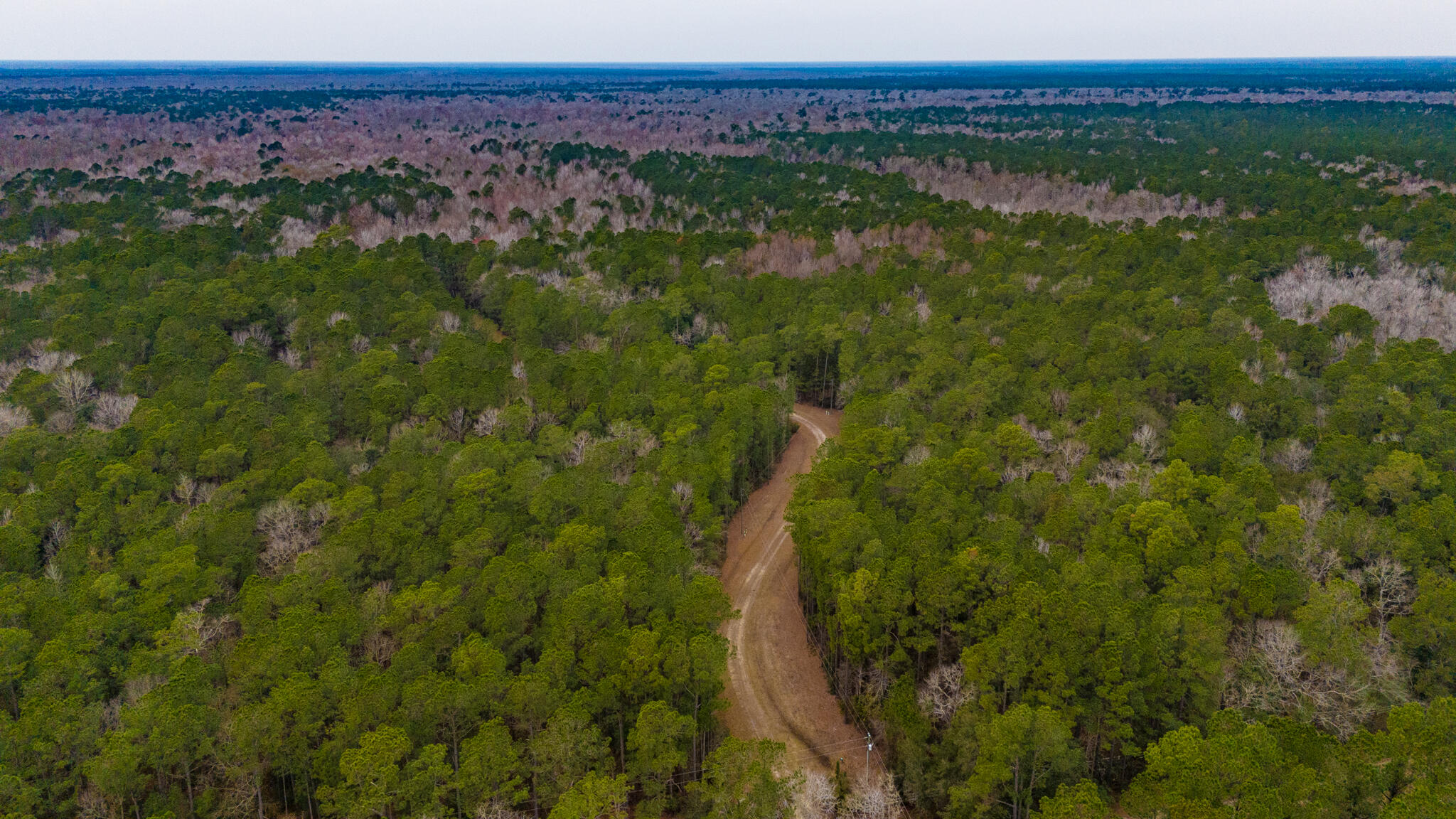 0 Morrison Canal Drive McClellanville, SC 29458 - Photo 5 of 18 128+ Beautiful Acres