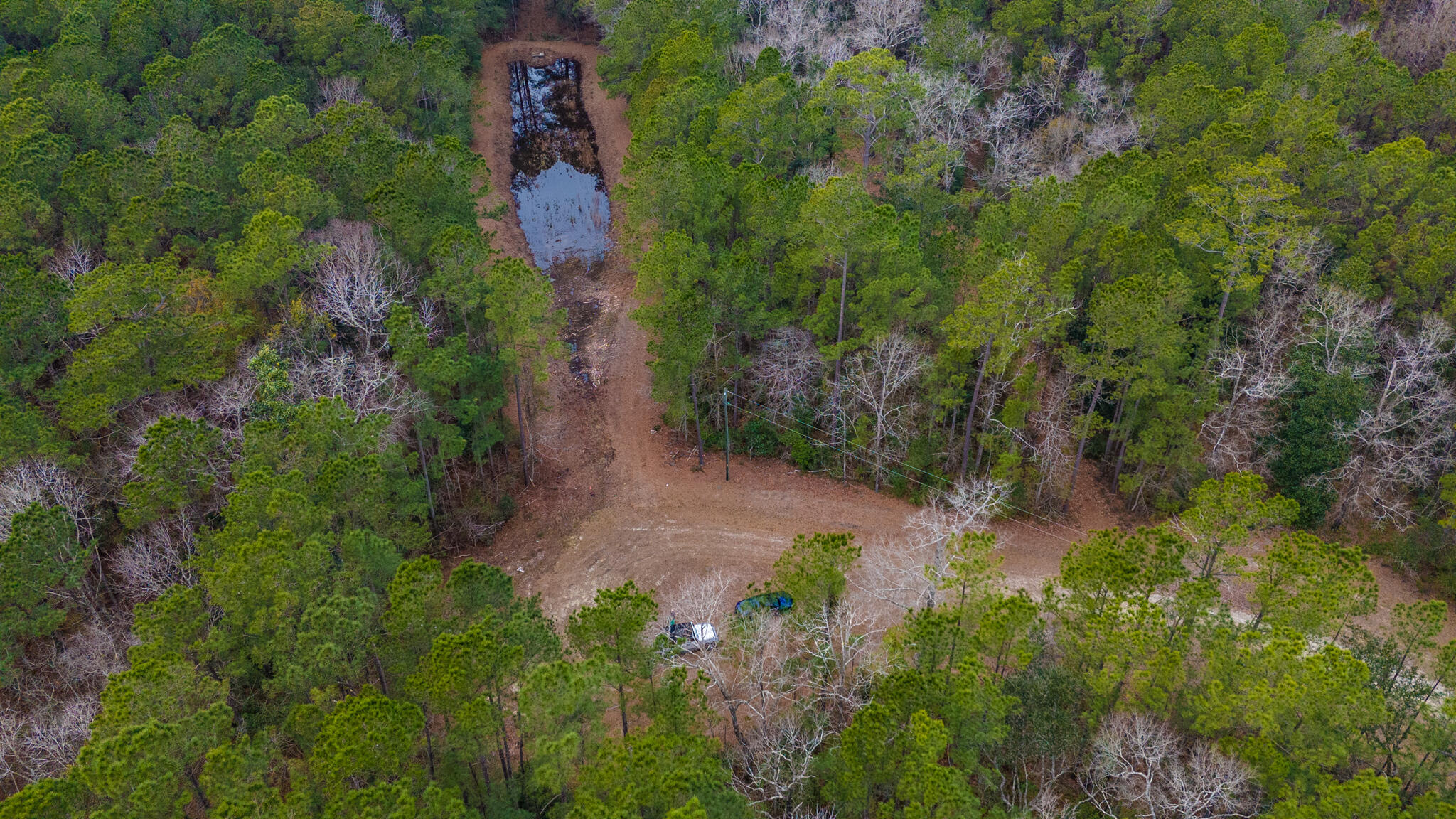 0 Morrison Canal Drive McClellanville, SC 29458 - Photo 7 of 18 Pond between Lot 19 and 20
