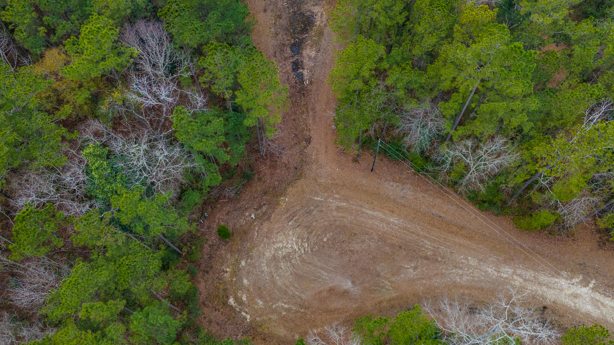 0 Morrison Canal Drive McClellanville, SC 29458 - Photo 8 of 18 End of Private Road