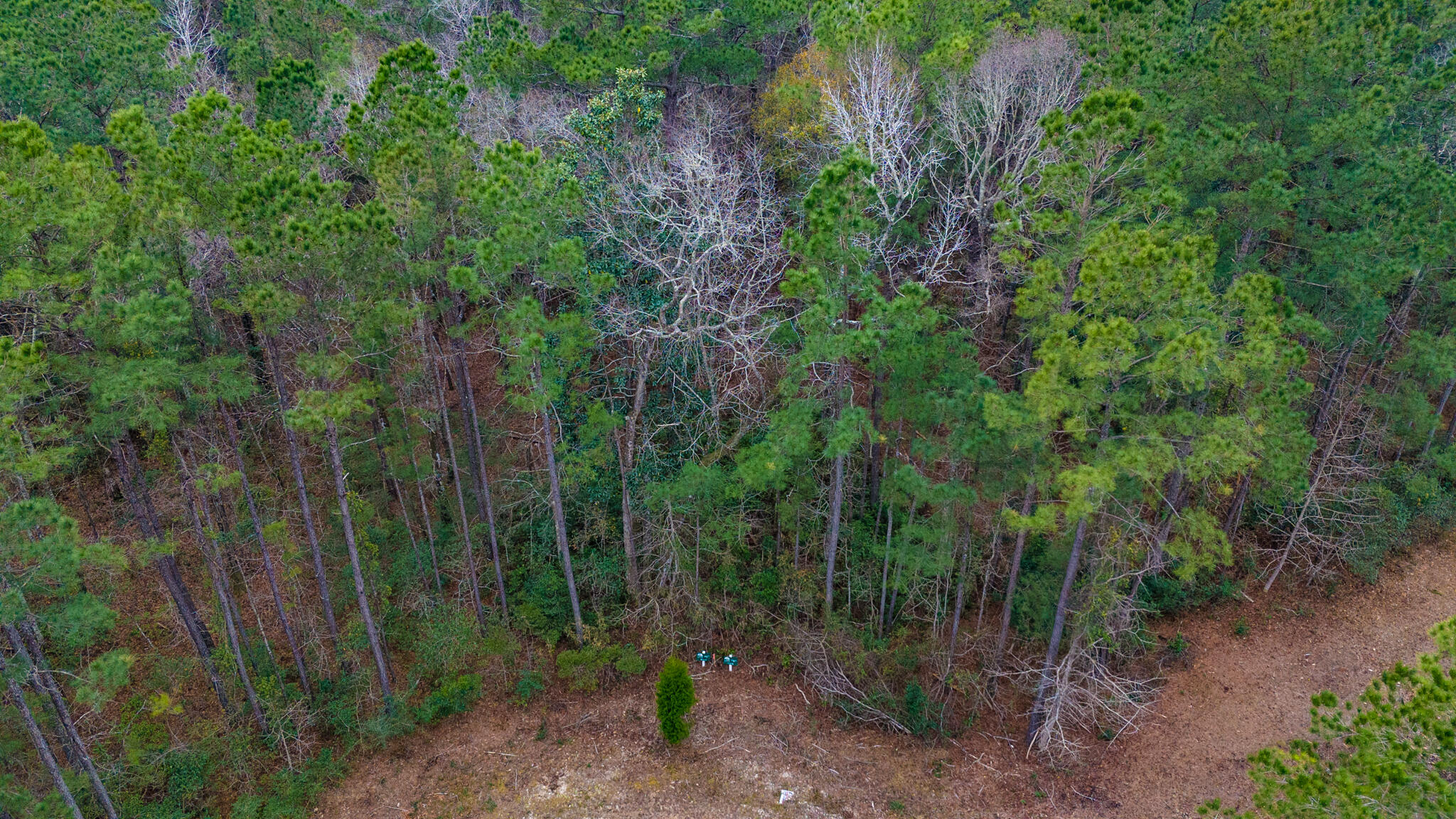 0 Morrison Canal Drive McClellanville, SC 29458 - Photo 9 of 18 Lots 20 and 21