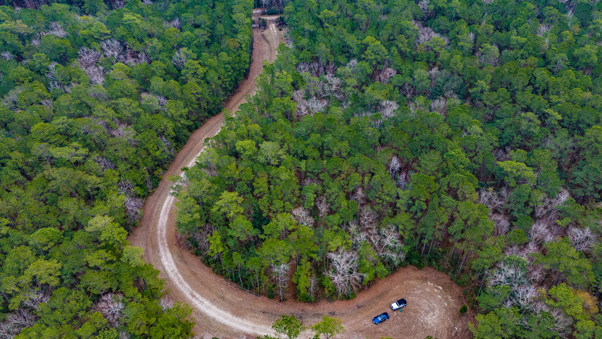 0 Morrison Canal Drive McClellanville, SC 29458 - Photo 10 of 18 Morrison Canal Dr.