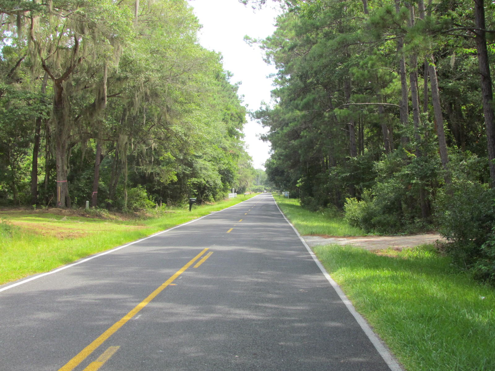 A4 Palmetto Road, Unit A4 Edisto Island, SC 29438 - Photo 3 of 13 Palmetto Rd