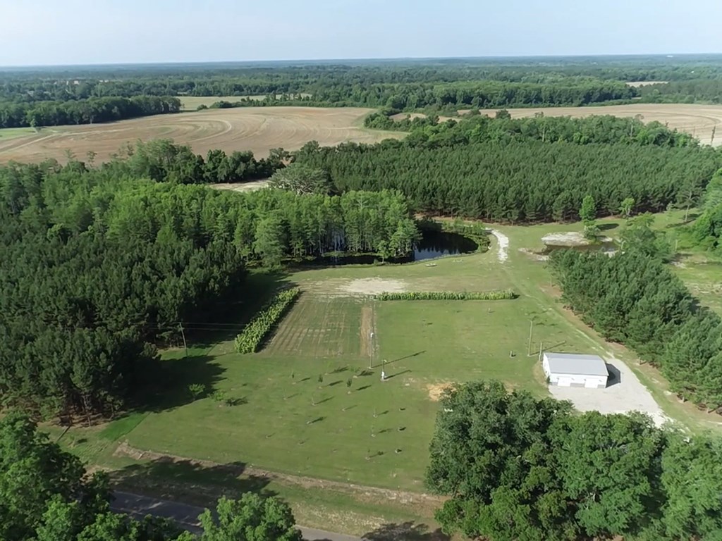 3876 D D Hodge Road Cottonwood, AL 36320 - Photo 36 of 48