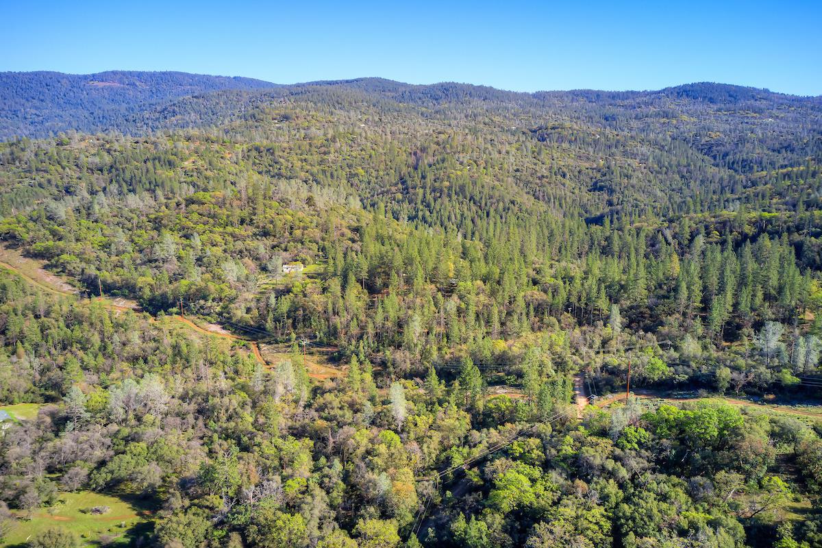 179 Elams Ranch Road Oroville, CA 95966 - Photo 24 of 52 a view of a lush green hillside and houses
