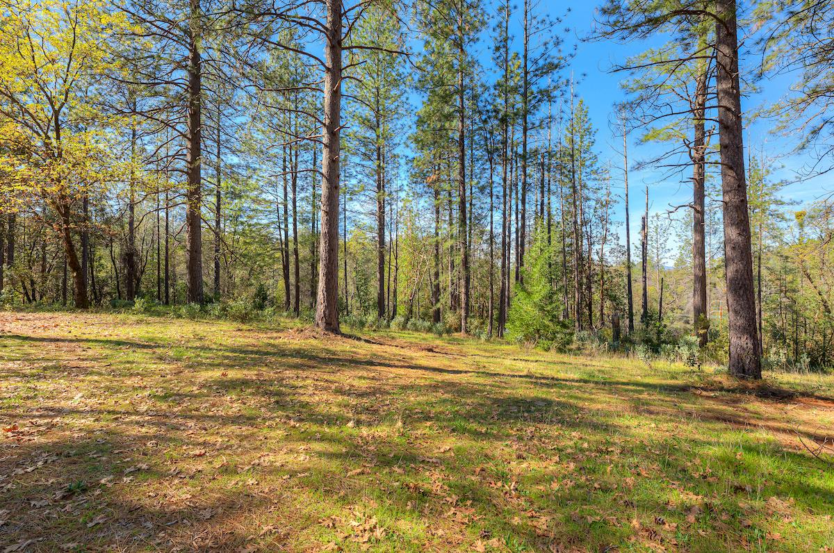 179 Elams Ranch Road Oroville, CA 95966 - Photo 25 of 52 a view of outdoor space with trees
