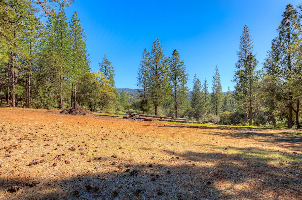 179 Elams Ranch Road Oroville, CA 95966 - Photo 32 of 52 a view of a yard with trees