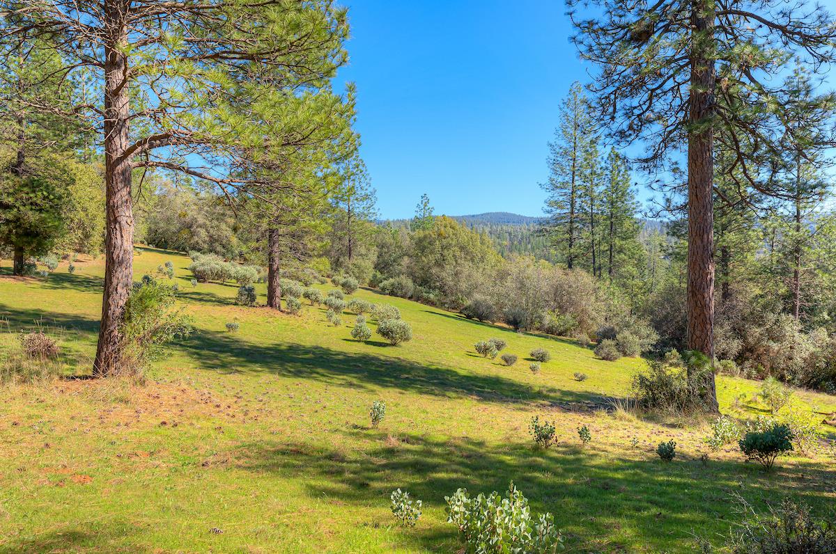 179 Elams Ranch Road Oroville, CA 95966 - Photo 34 of 52 a view of a yard with an outdoor space