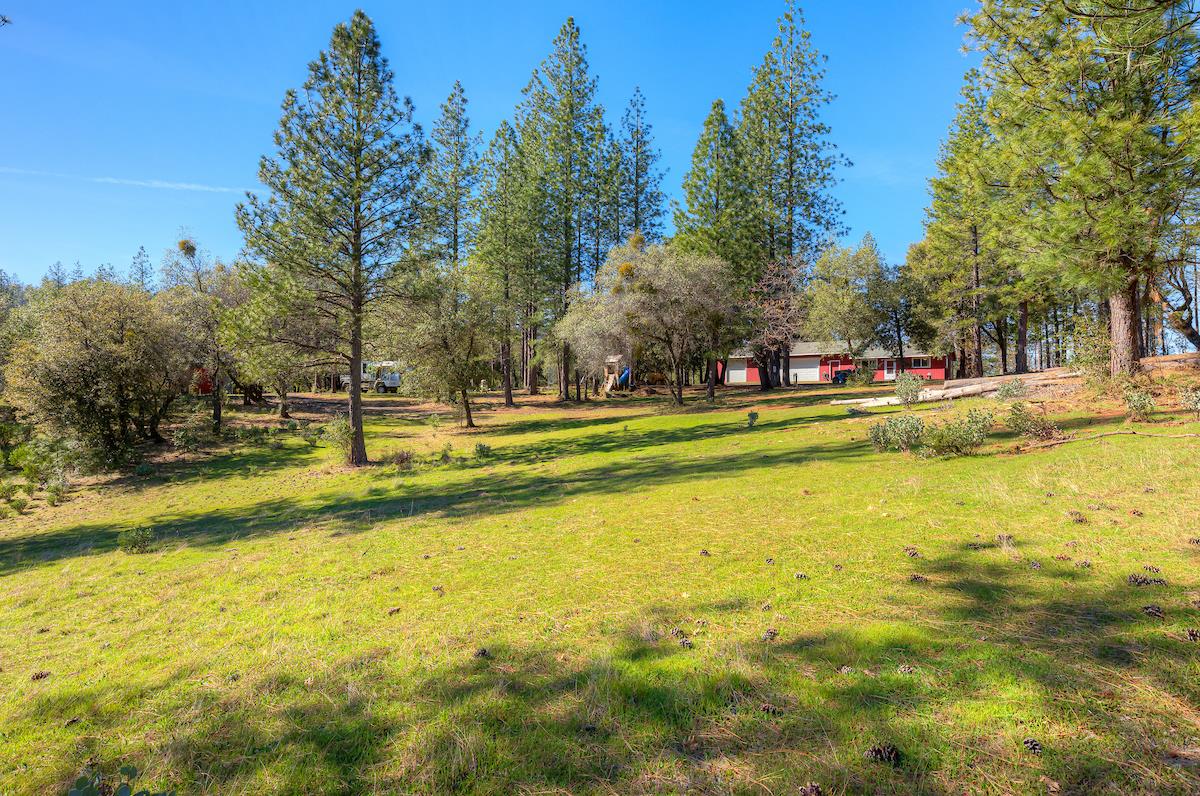 179 Elams Ranch Road Oroville, CA 95966 - Photo 35 of 52 a view of a swimming pool with an outdoor space