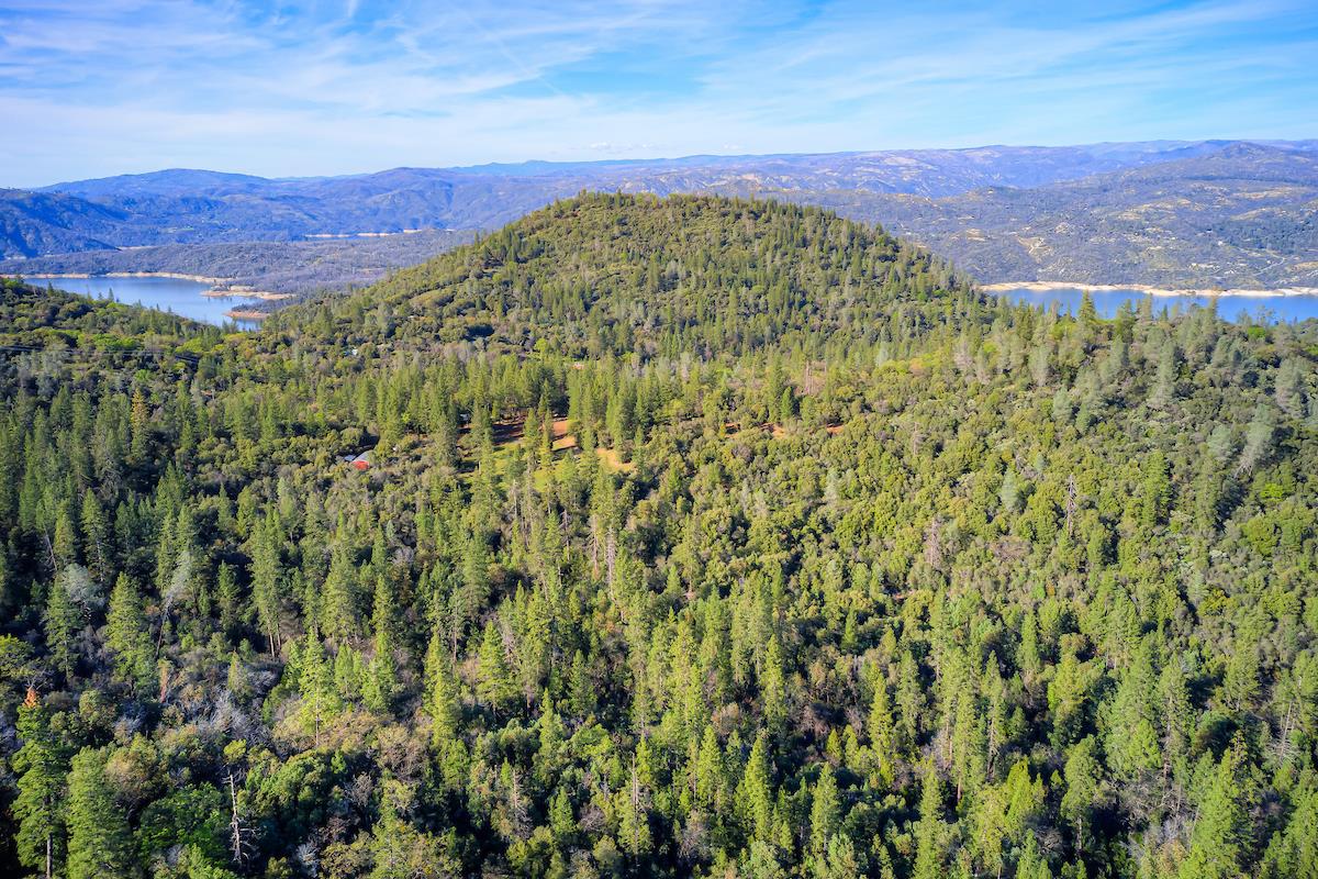 179 Elams Ranch Road Oroville, CA 95966 - Photo 36 of 52 a view of a lush green hillside and a building