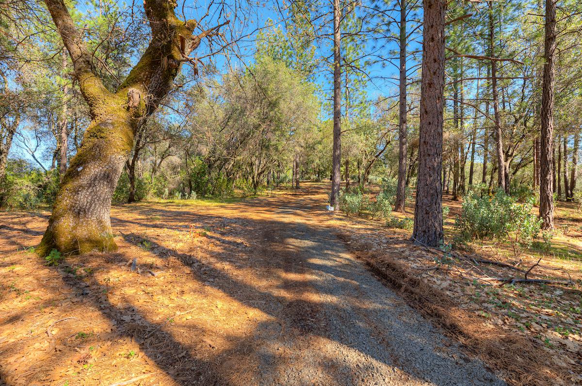 179 Elams Ranch Road Oroville, CA 95966 - Photo 38 of 52 a view of outdoor space with trees