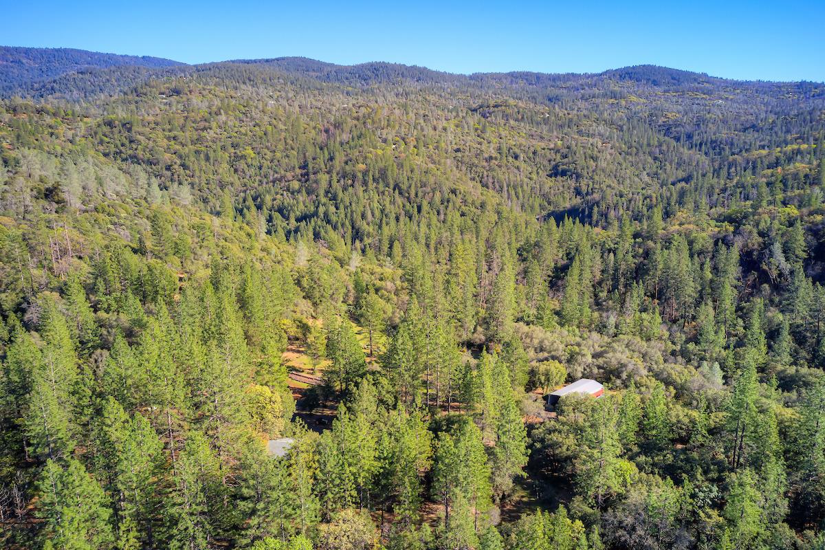 179 Elams Ranch Road Oroville, CA 95966 - Photo 39 of 52 a view of a forest with mountains in the background