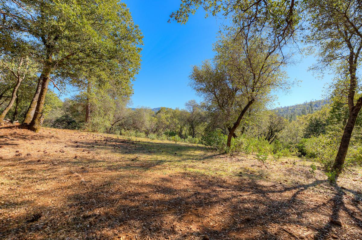 179 Elams Ranch Road Oroville, CA 95966 - Photo 40 of 52 a view of a yard with a tree