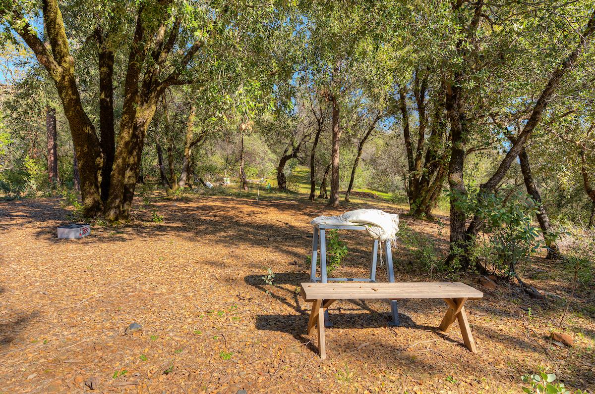 179 Elams Ranch Road Oroville, CA 95966 - Photo 42 of 52 a view of a bench in backyard of house
