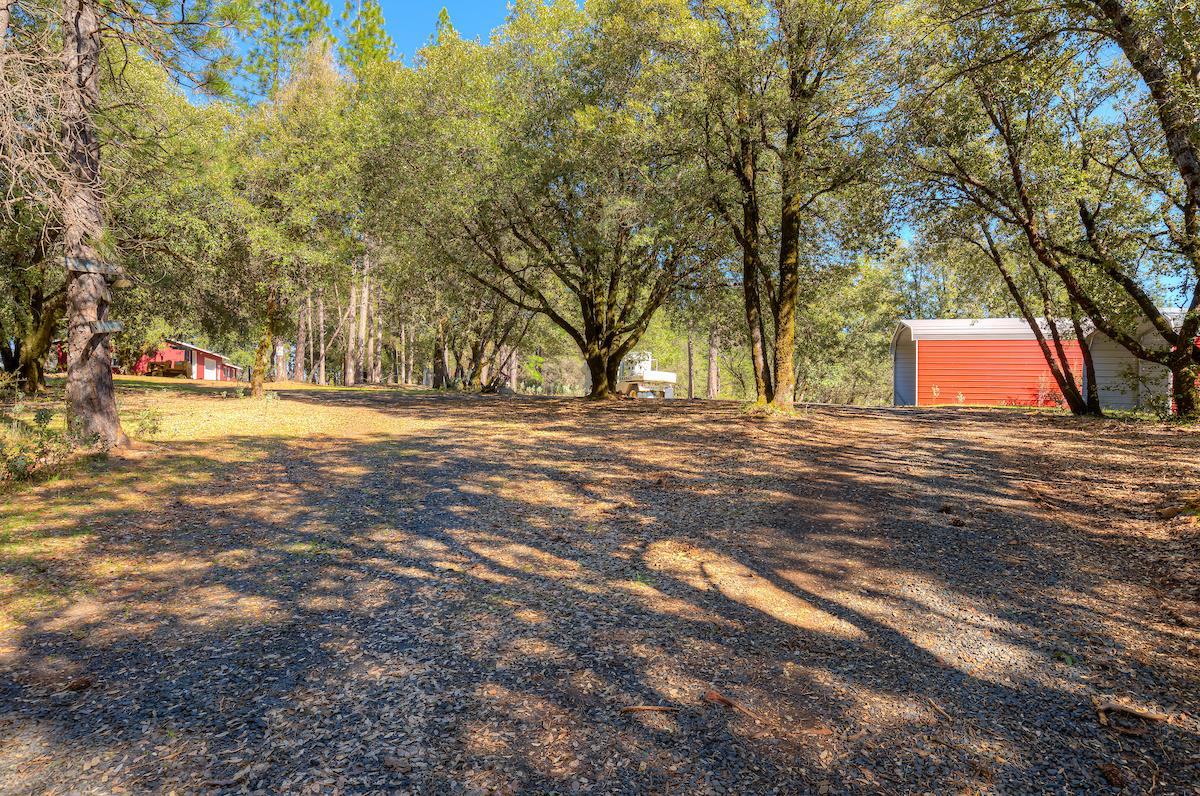 179 Elams Ranch Road Oroville, CA 95966 - Photo 43 of 52 a view of a yard with a tree