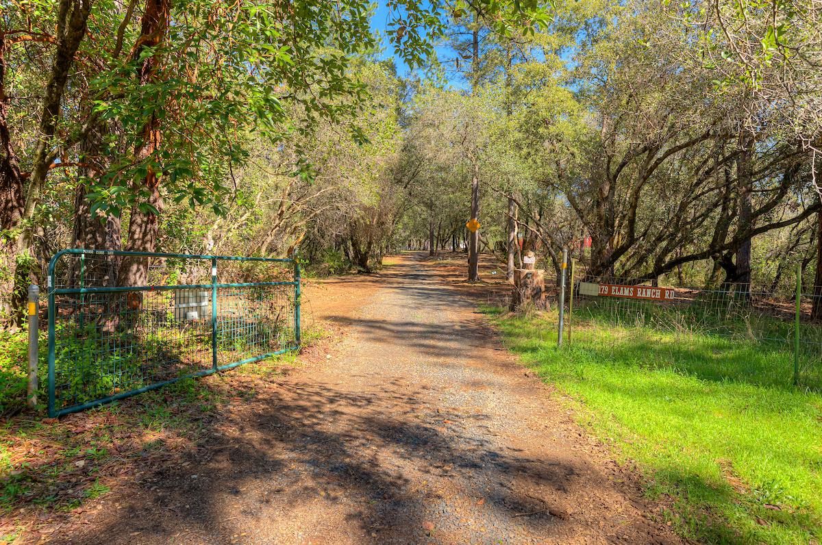 179 Elams Ranch Road Oroville, CA 95966 - Photo 45 of 52 a view of yard with tree
