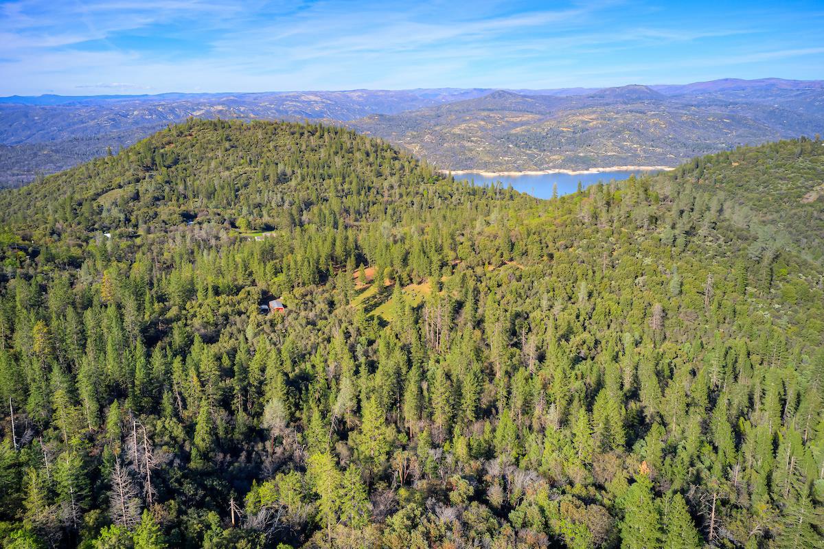 179 Elams Ranch Road Oroville, CA 95966 - Photo 46 of 52 a view of a yard with an umbrella
