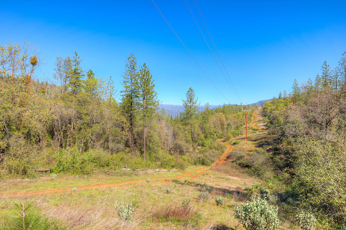 179 Elams Ranch Road Oroville, CA 95966 - Photo 50 of 52 a view of beach with trees in the background
