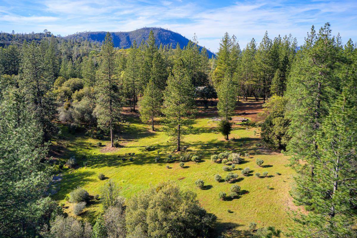 179 Elams Ranch Road Oroville, CA 95966 - Photo 51 of 52 a view of a yard with an outdoor space