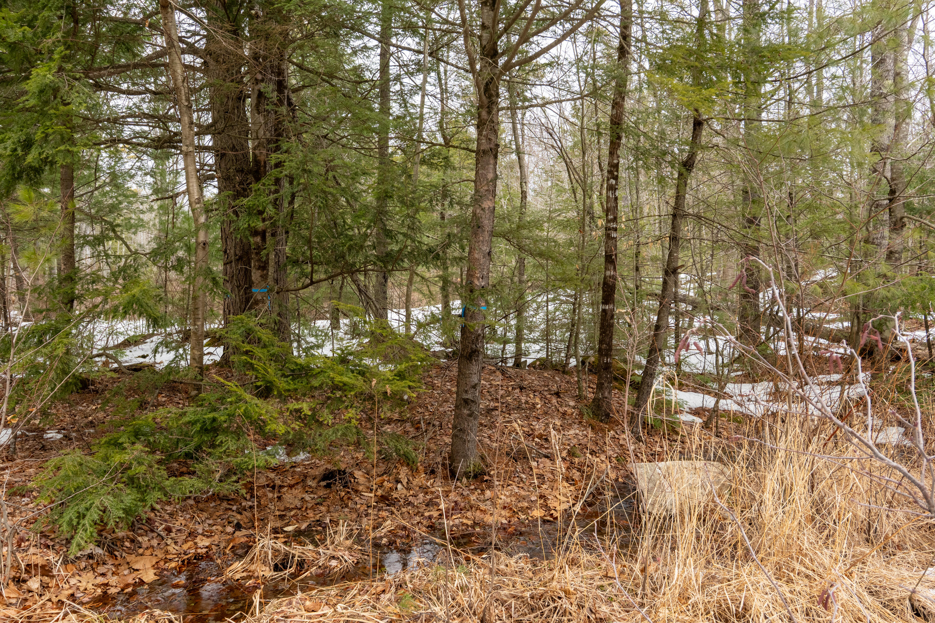 119 Mountain Road York, ME 03909 - Photo 8 of 15 119 Mountain Rd, South Berwick