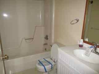 1239 Airport Road Moneta, VA 24121 - Photo 9 of 11 BATHROOM