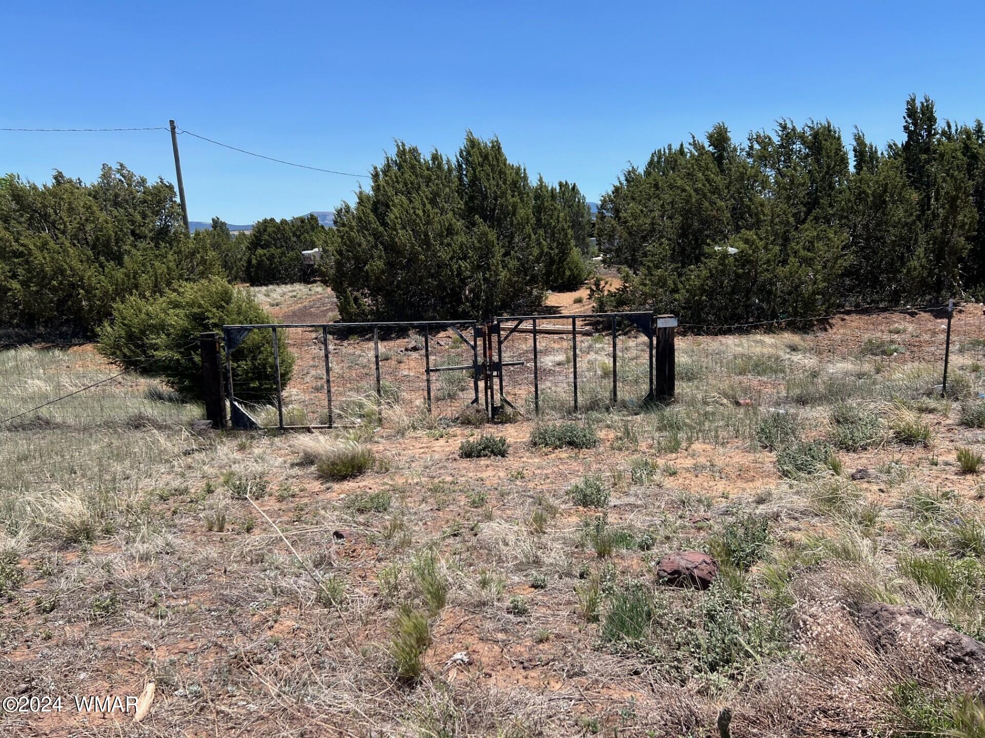32 County Road Concho, AZ 85924 - Photo 2 of 9 Gallery Image 2