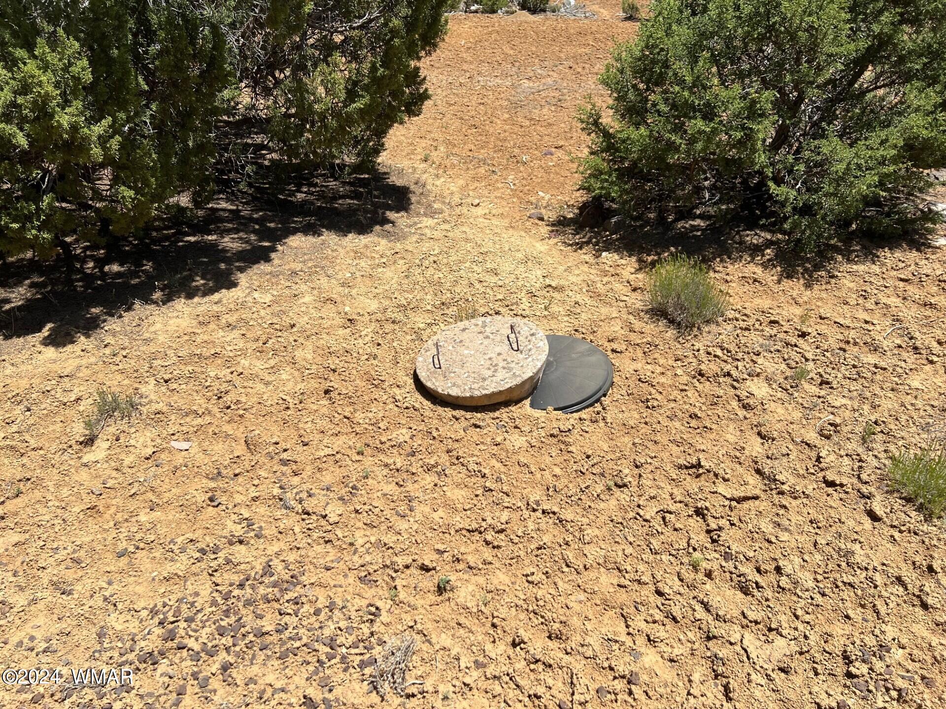 32 County Road Concho, AZ 85924 - Photo 6 of 9 Gallery Image 6