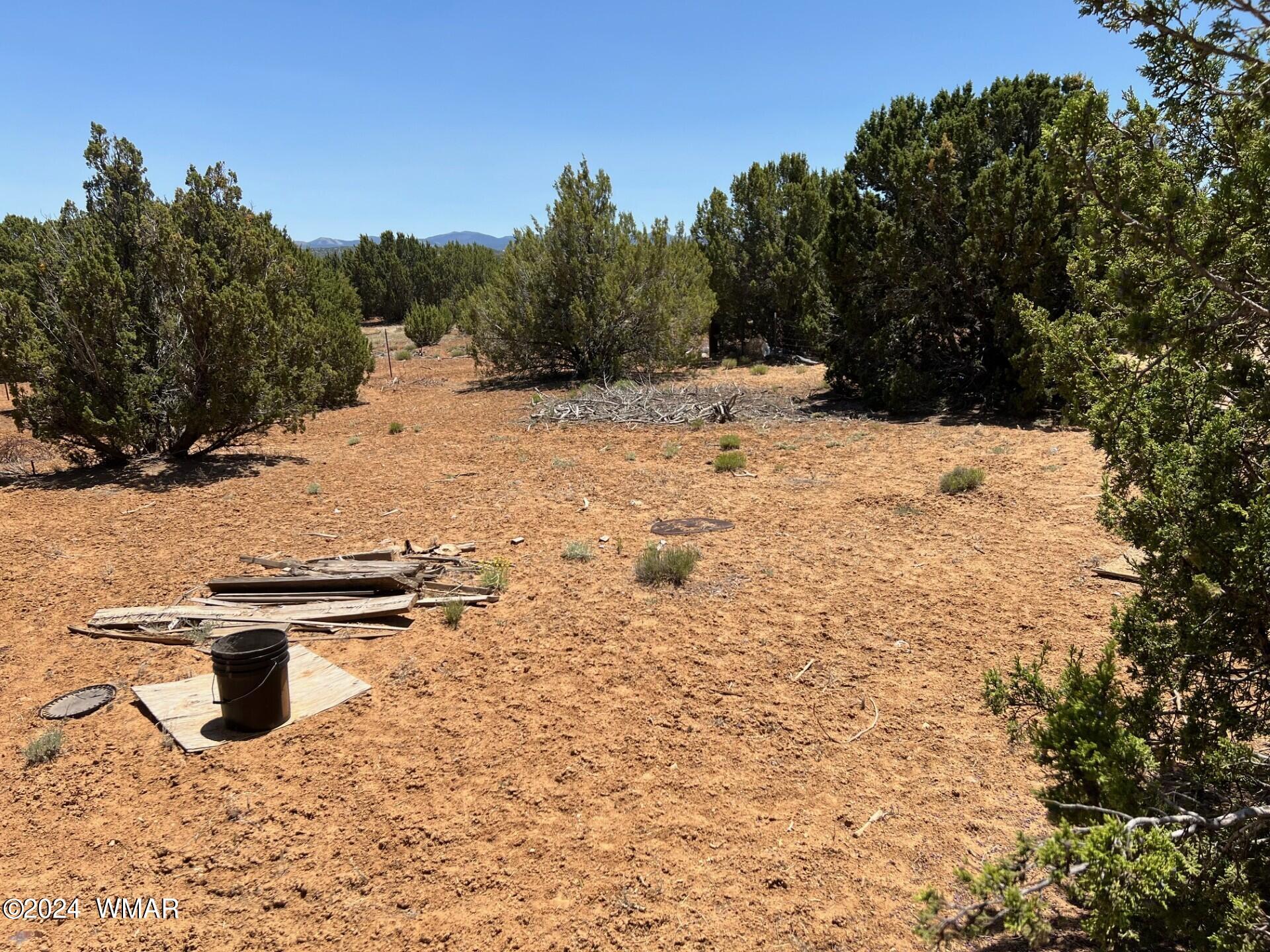 32 County Road Concho, AZ 85924 - Photo 7 of 9 Gallery Image 7
