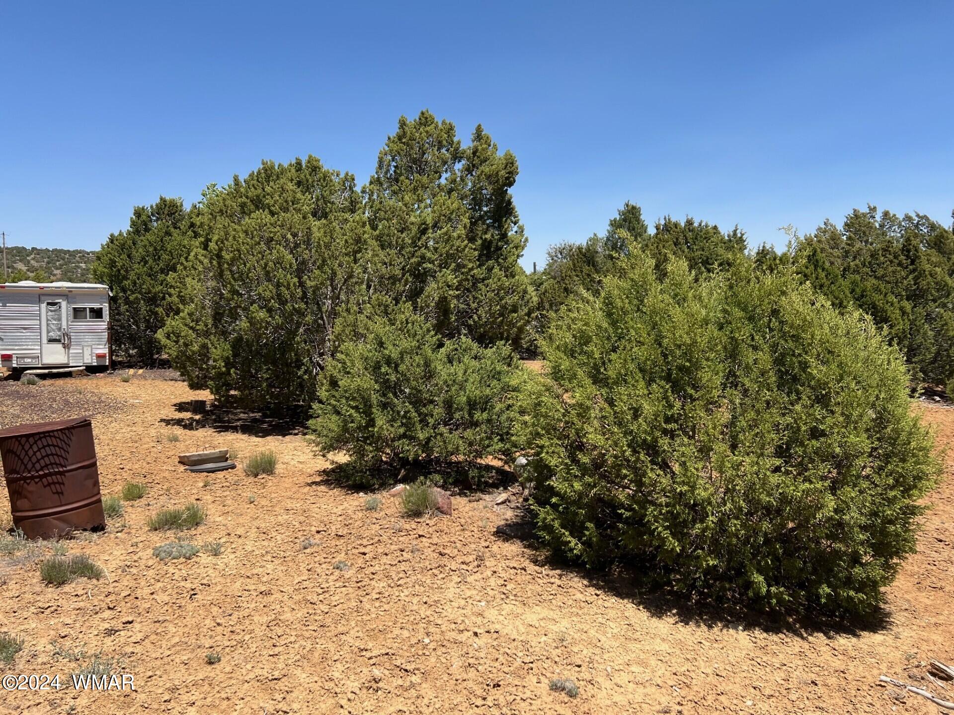 32 County Road Concho, AZ 85924 - Photo 8 of 9 Gallery Image 8