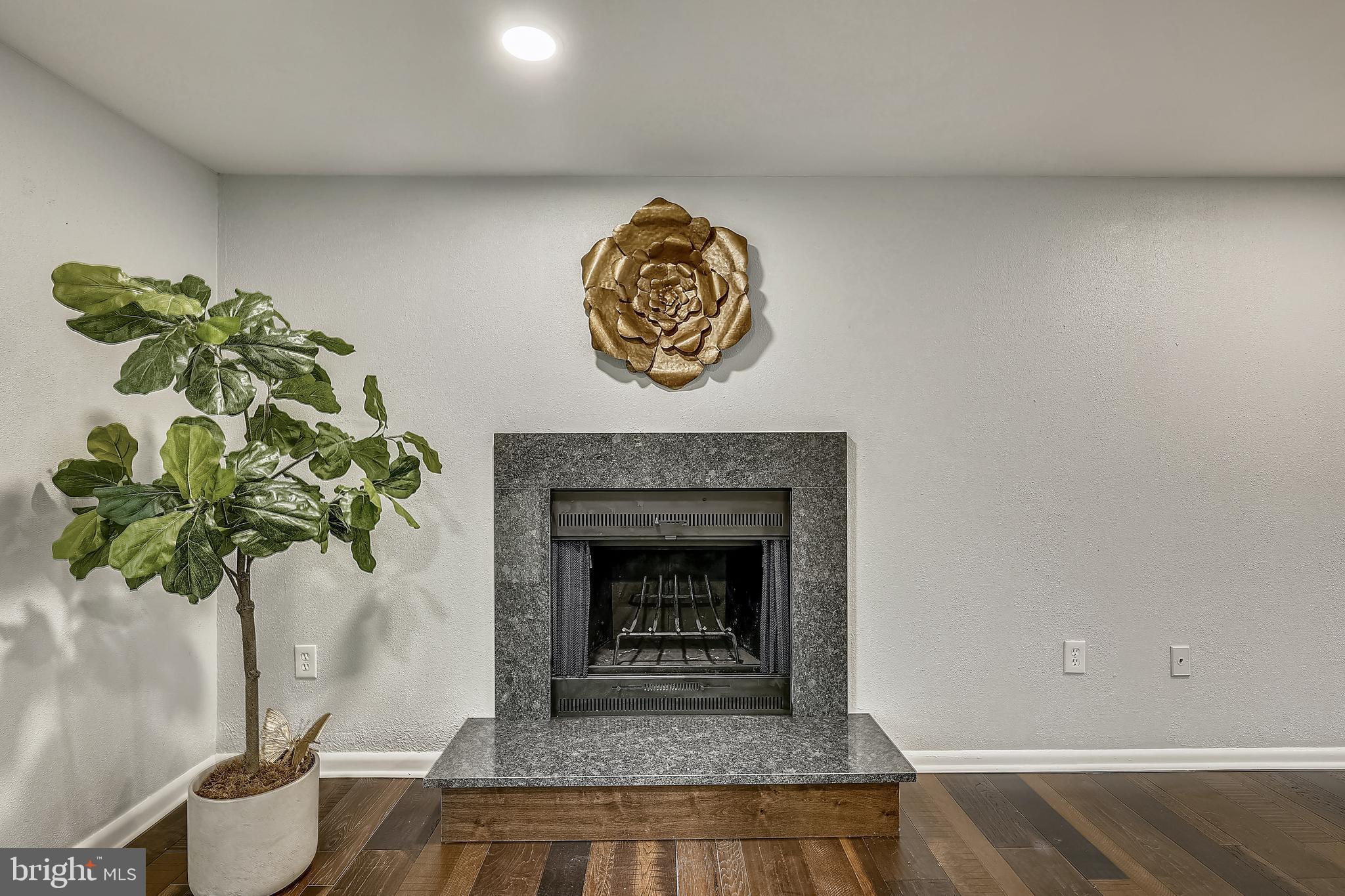 3303 Heidi Lane Springdale, MD 20721 - Photo 9 of 20 Fireplace