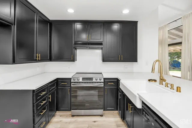 a kitchen with a sink cabinets and stainless steel appliances