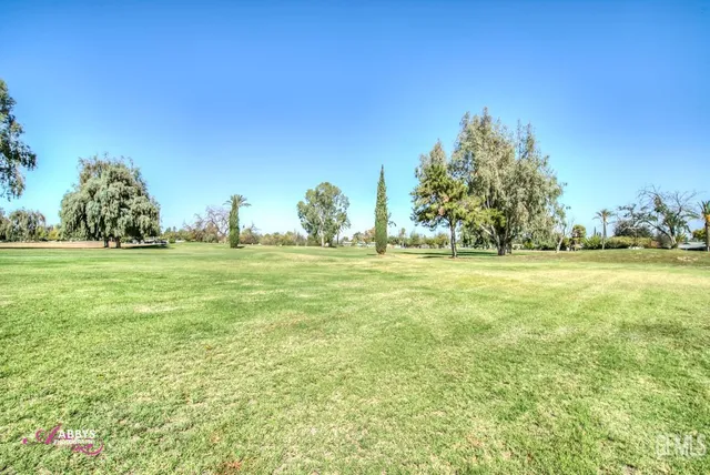 a view of a green field