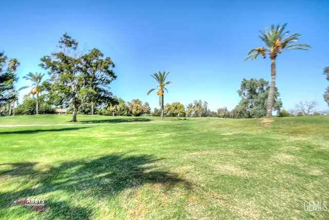 a view of a field with an trees