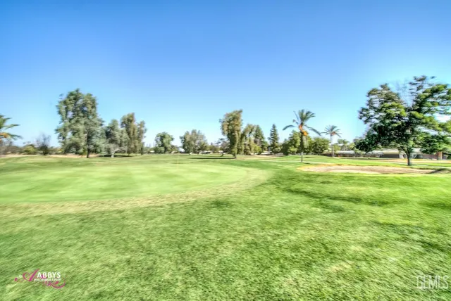 a view of a tennis ground