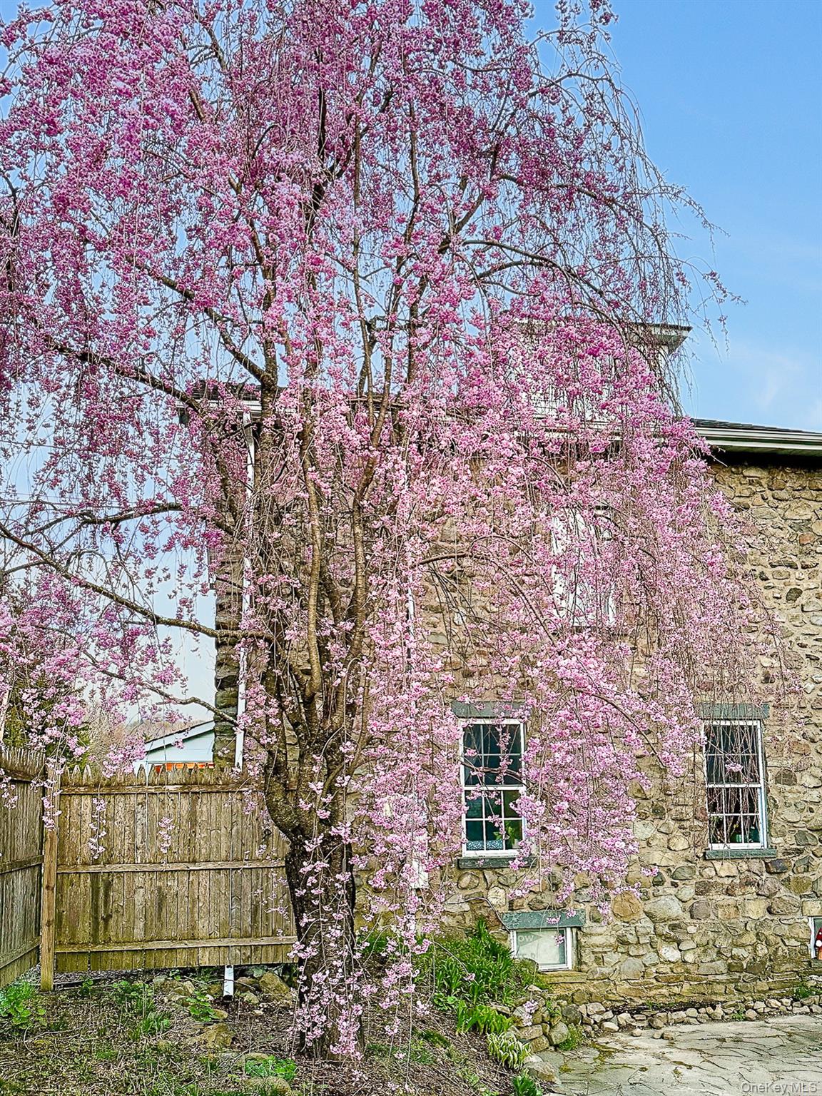 645 Gardnertown Road Newburgh, NY 12550 - Photo 27 of 38