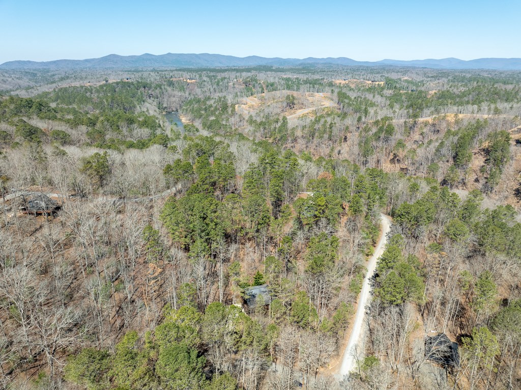 30 Gothic Court Ellijay, GA 30540 - Photo 10 of 59 Gallery Image 10