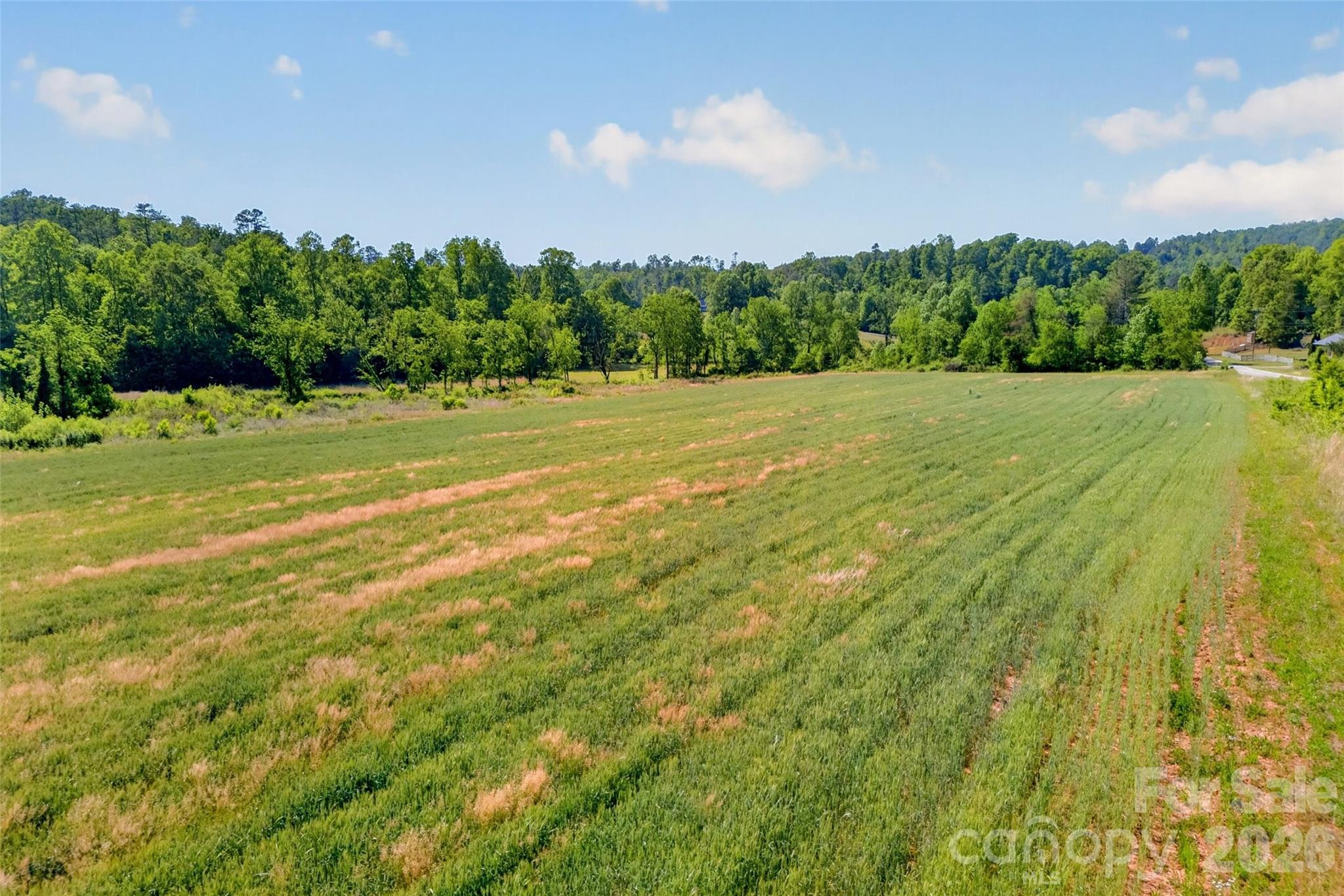 3361 Bethlehem Road Old Fort, NC 28762 - Photo 18 of 47