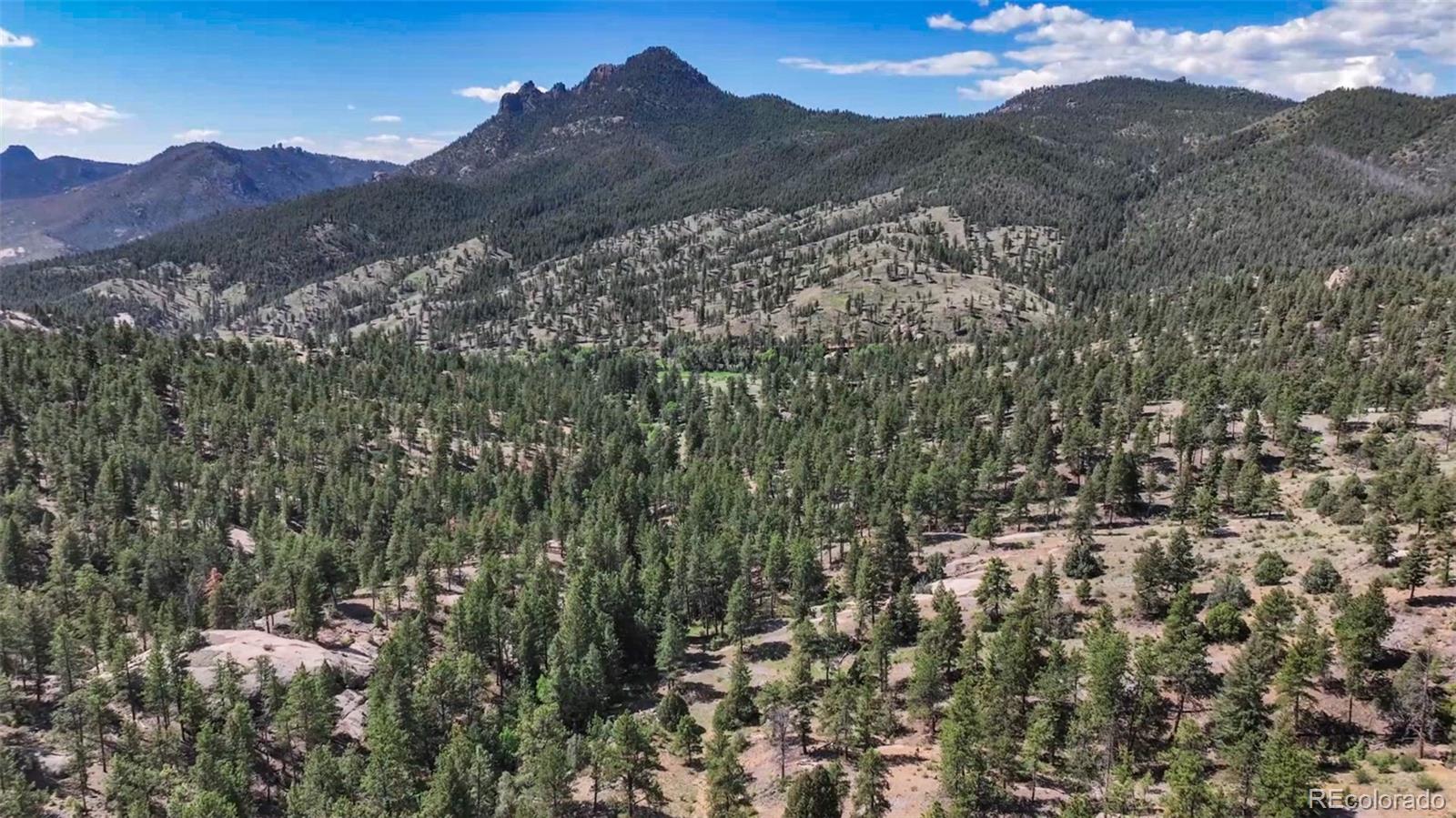 22511 Resort Creek Road Conifer, CO 80433 - Photo 16 of 50