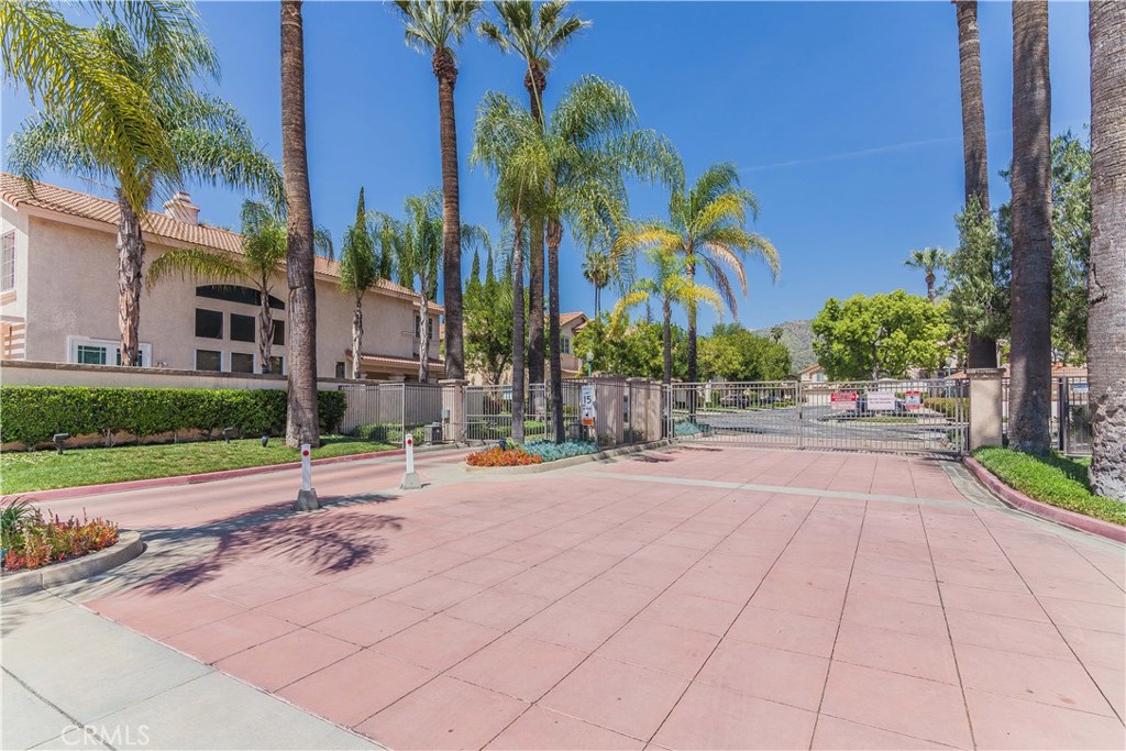 743 Orchard Loop Azusa, CA 91702 - Photo 3 of 39 a row of palm trees and a yard in front of a house