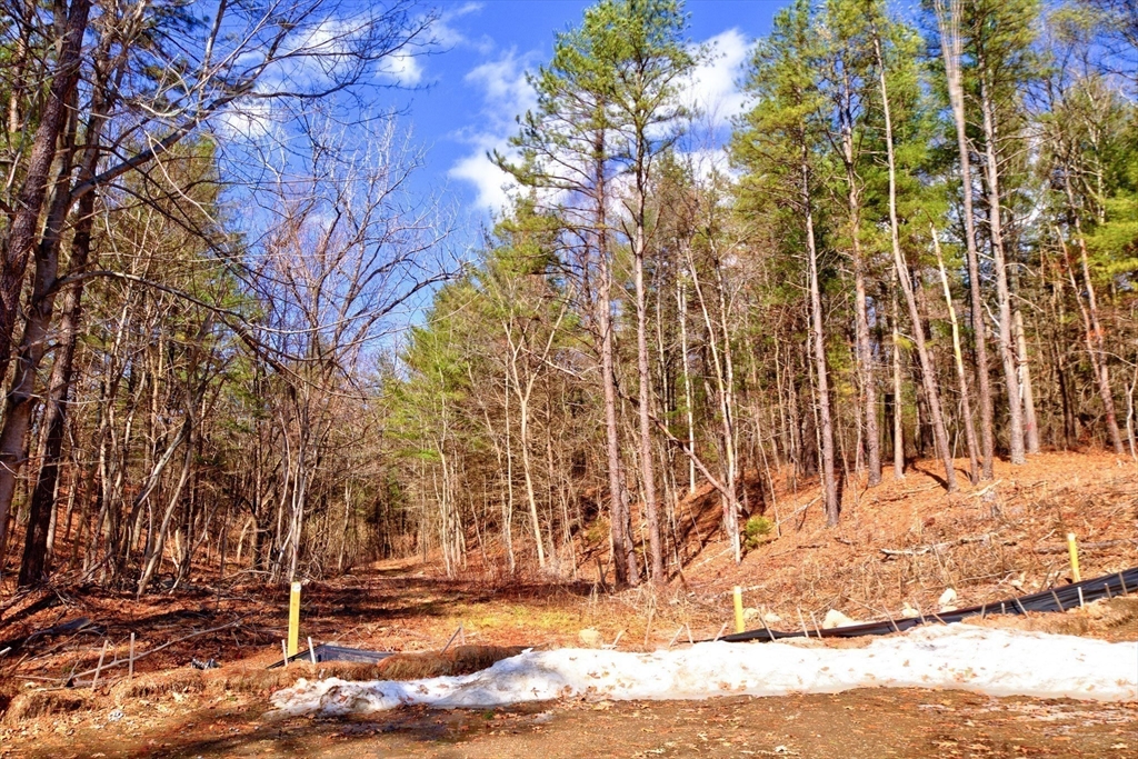 344 B Hampshire Road Methuen, MA 01844 - Photo 5 of 39