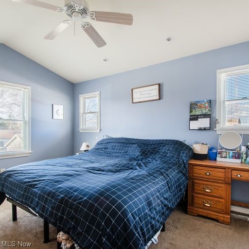175 Creed Street Struthers, OH 44471 - Photo 17 of 35 Gallery Image 17
