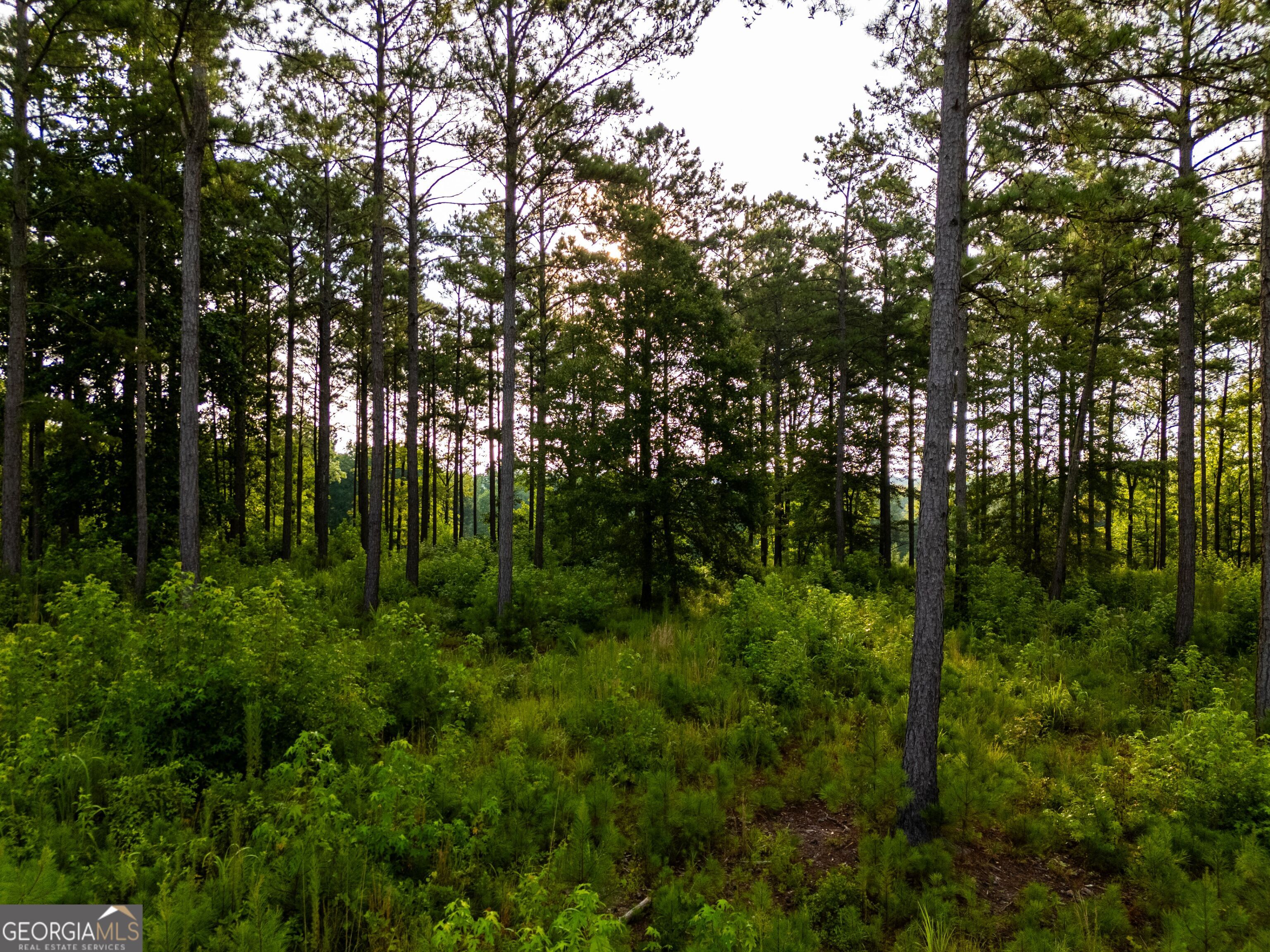 2199 Roosterville Road Roopville, GA 30170 - Photo 104 of 129