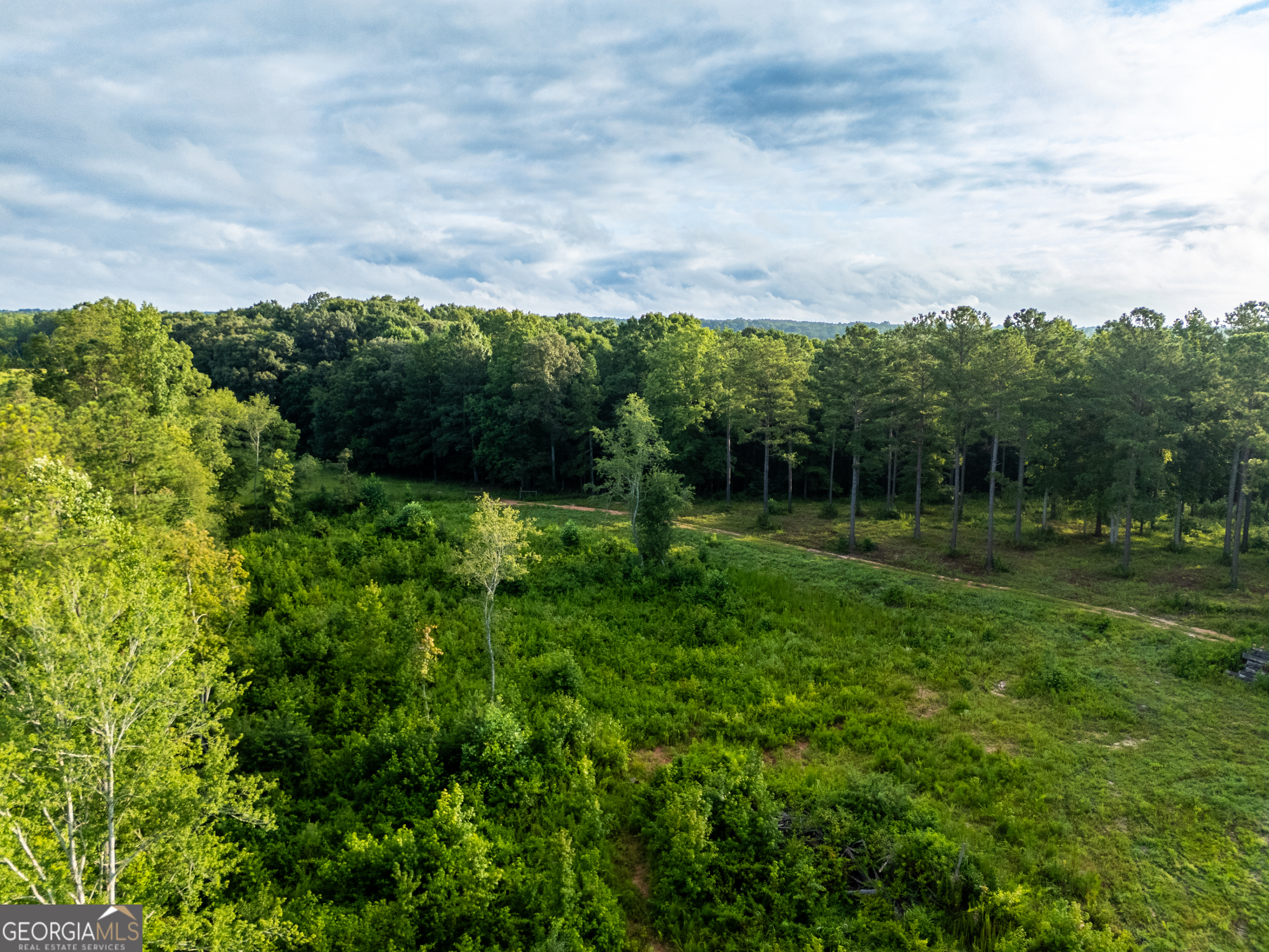 2199 Roosterville Road Roopville, GA 30170 - Photo 112 of 129 a view of a garden with mountains in the background