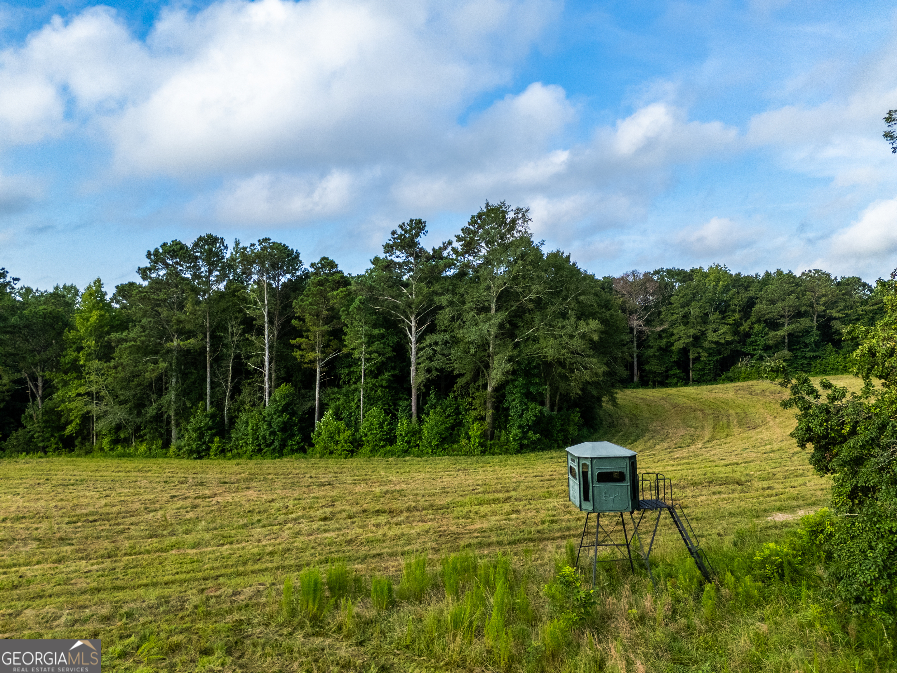 2199 Roosterville Road Roopville, GA 30170 - Photo 3 of 129